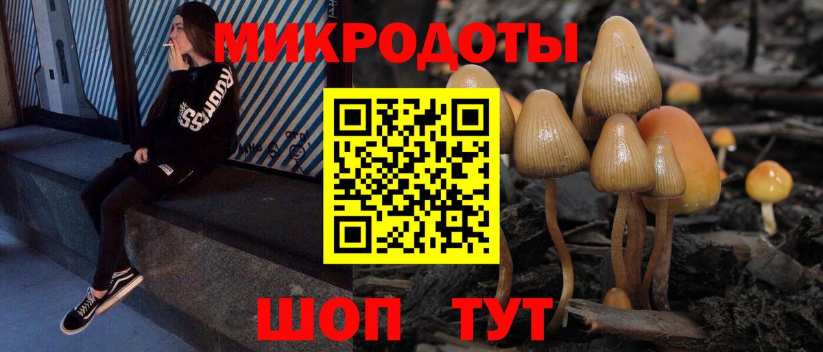 Нижнекамск  Псилоцибиновые грибы MAGIC MUSHROOMS  Вход с VPN 